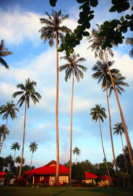 Viva_065